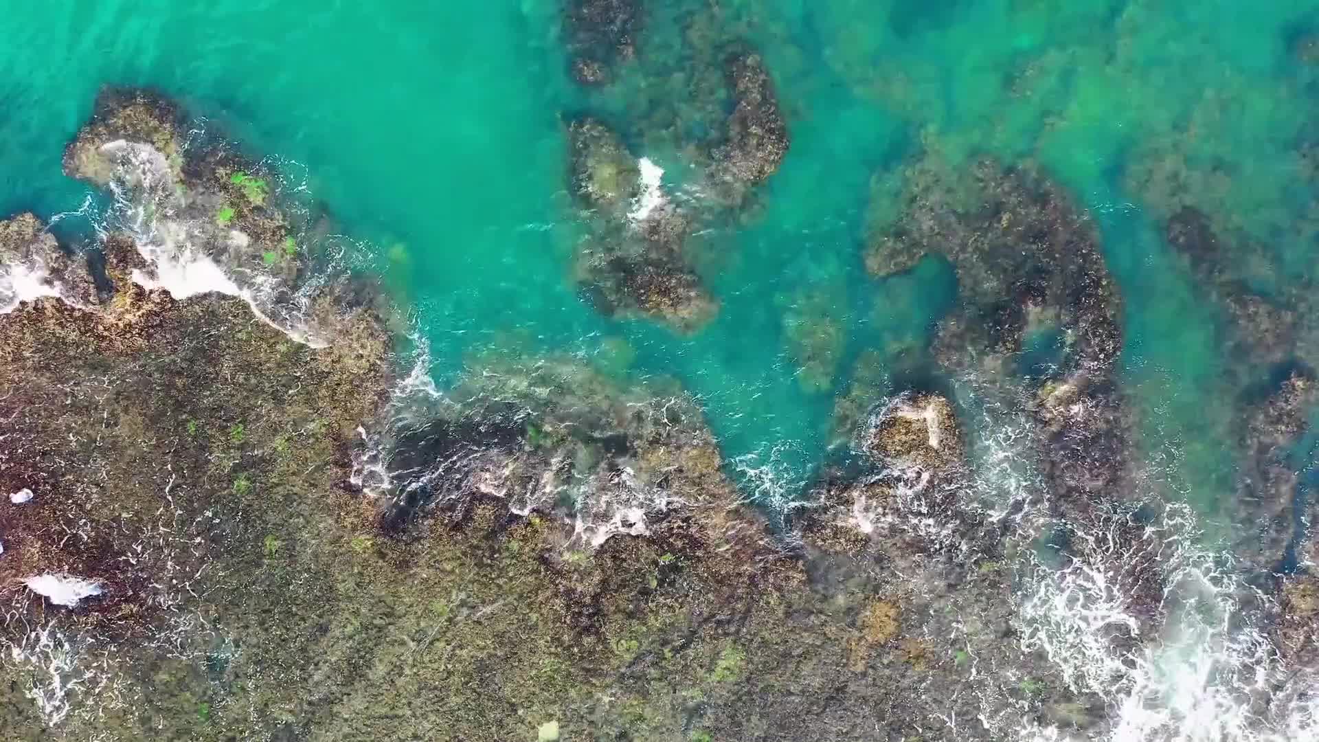 Sulphur sea terraria фото 44