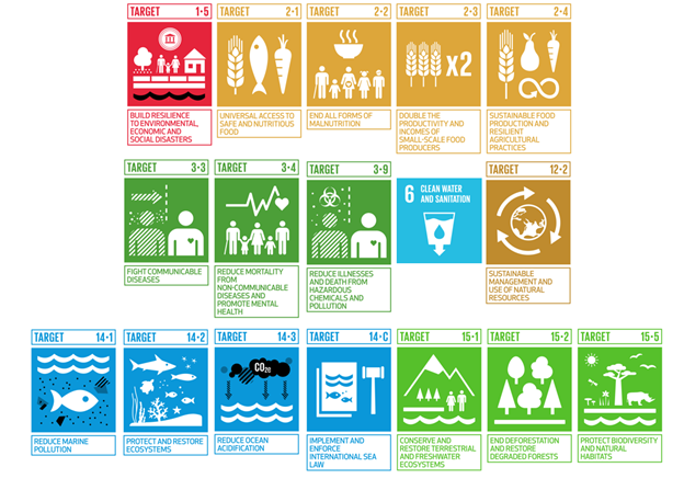 List of SDG targets